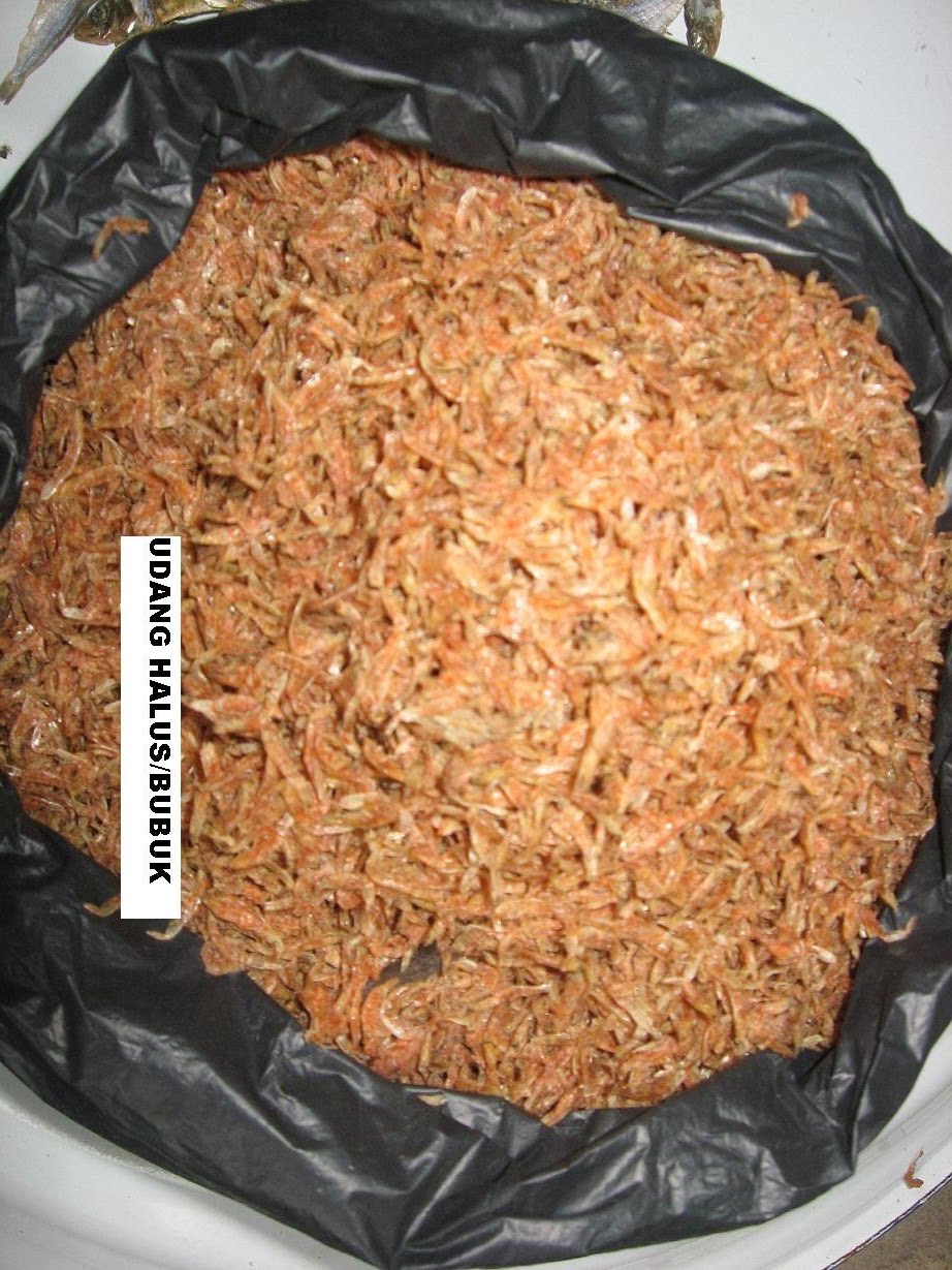 BORNEO FROZEN AND DRIED SEAFOOD: udang Geragau