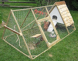 Bertia lanhe: Very small chicken coop plans