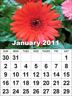 yearly calendar 2011. month of january 2011 calendar