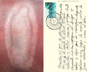 Proyecto 2009 (virgen)