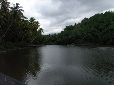 Palm Line River, Dominica
