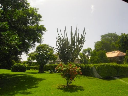 The Botanical Gardens, Dominica