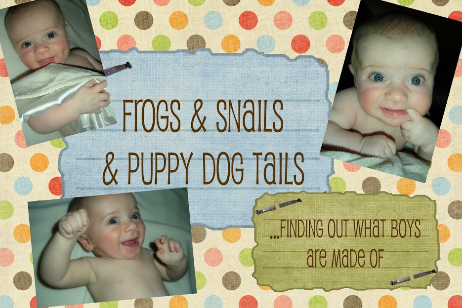 Frogs and Snails and Puppy Dog Tails