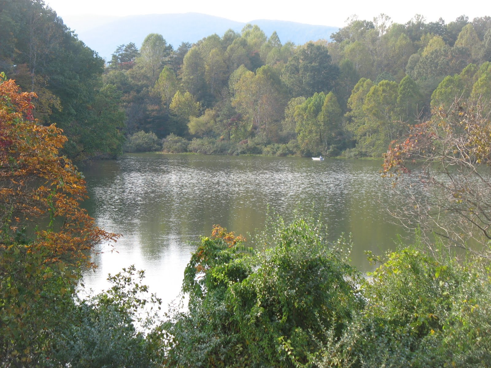 Life on Two Acres Photos from Lake Albemarle