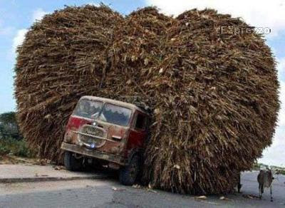 Now This Is Definitely Excess Load.