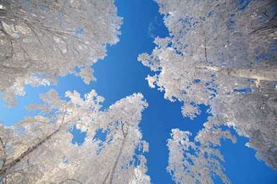 Nature's Ice Show 12