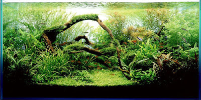 aquarium art