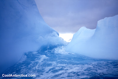 Cool Antarctica (5) 2