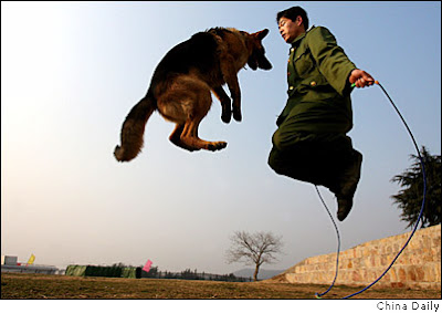 Funny military photos (11) 5