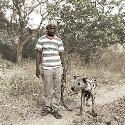 Hyenas as pet (4) 1
