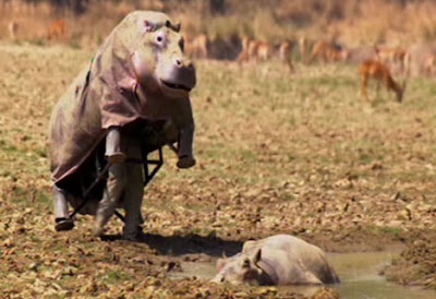 Hippo Attire For Humans (7) 4