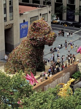 Puppy, The Topiary Dog By Jeff Koons (6) 4