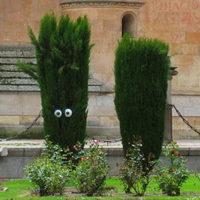 Street Art Installations - Human Plants (5) 2
