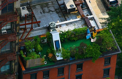 Roof Tops Of Rich People (6) 1