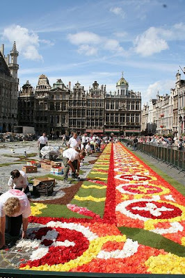 Flower Carpet (9) 8