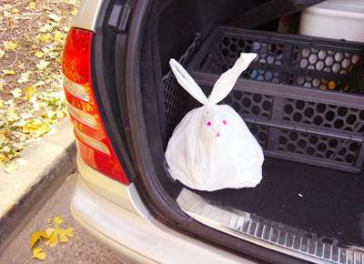 Rabbit Bag (4) 3