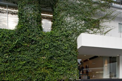 Who Would Like To Have These Beautiful Walls (15) 3