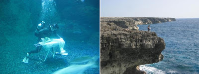 Extreme Ironing (6) 4