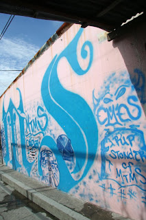 FOTOMEXCABIA La Mara Salvatrucha MS13