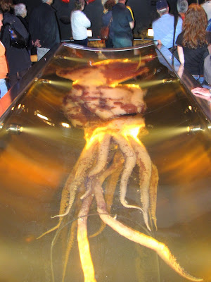 Uncle (travelling) James: Colossal Squid, Te Papa Museum, Wellington ...