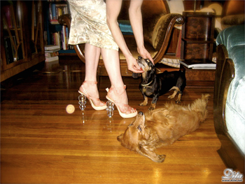 Pin Up Life: Dita von Teese