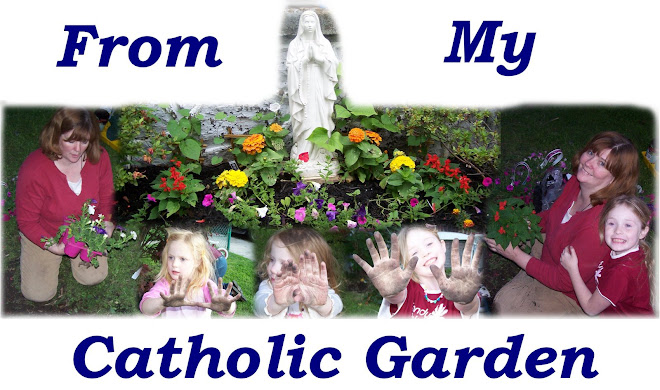 From My Catholic Garden