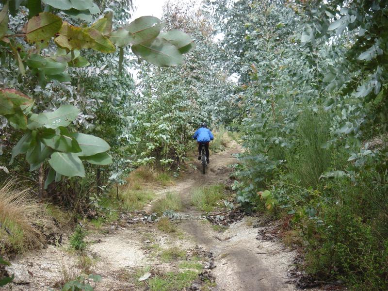 [Rotas+do+Marão+088+(Medium).jpg]