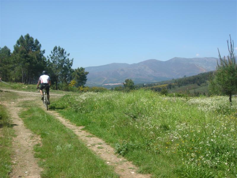 [Maratona+do+Paul+2008+199+(Medium).jpg]