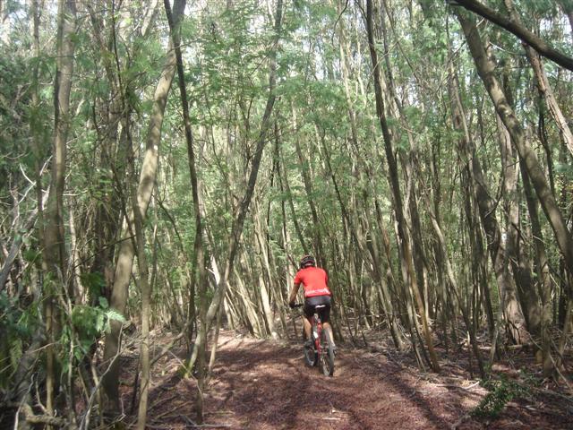 [Rota+das+Nozes+2008+067+(Small).jpg]