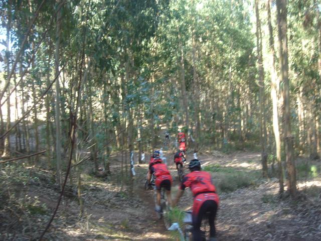 [Rota+do+leitão+2008+153+(Small).jpg]