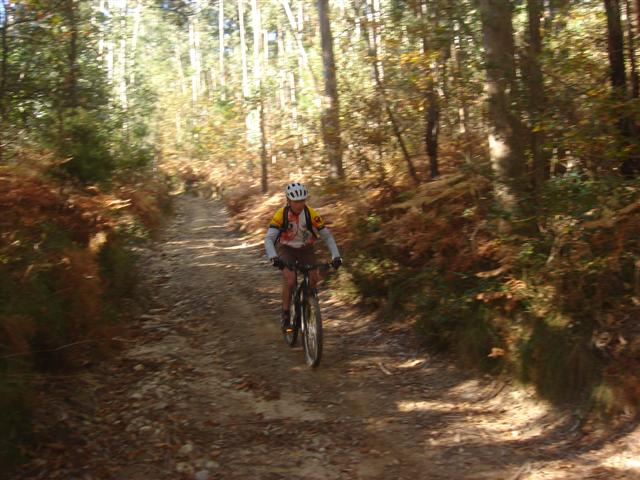 [srª+da+saúde+Hernani+041+(Small).jpg]