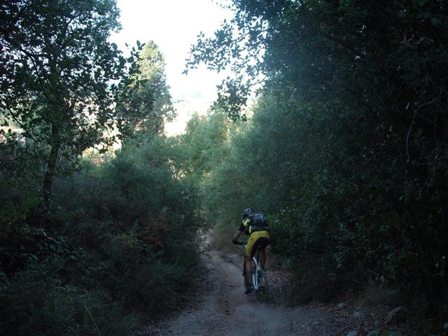 [challenge+buçaco+086+(Small).jpg]