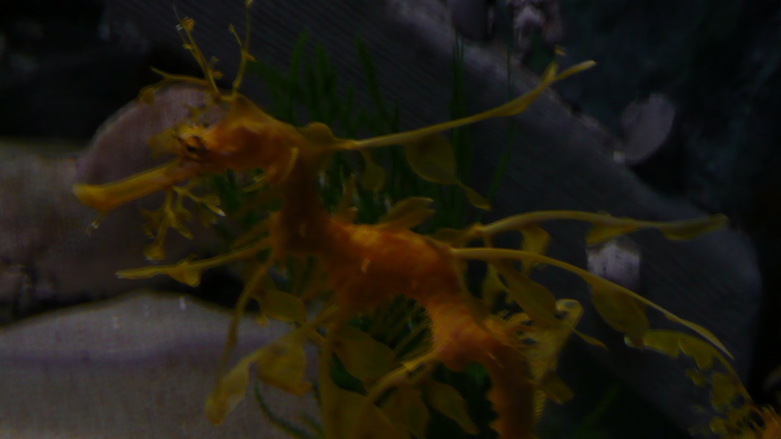 [P1090712.JPG]