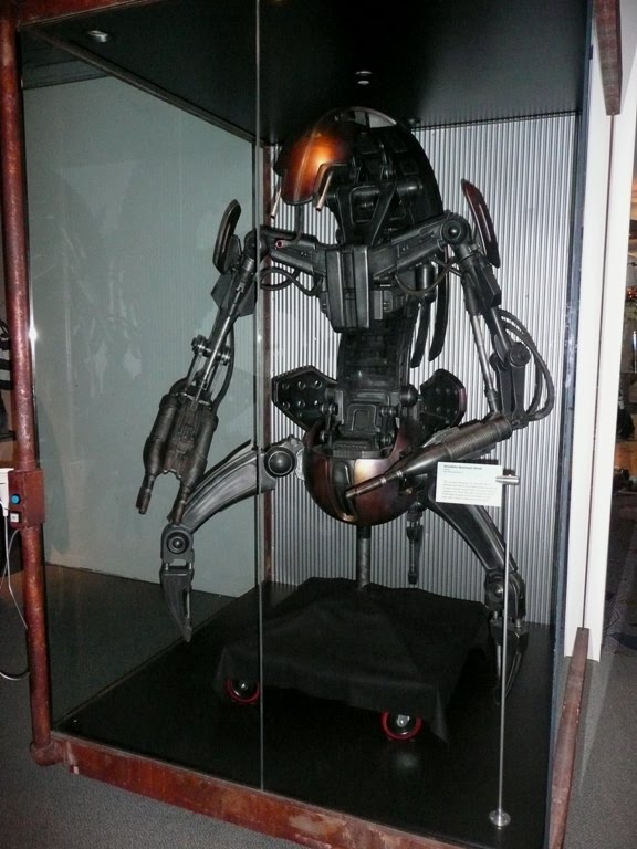 [resizedP1130437.JPG]