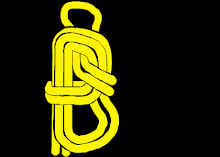 Figure of Eight Coil