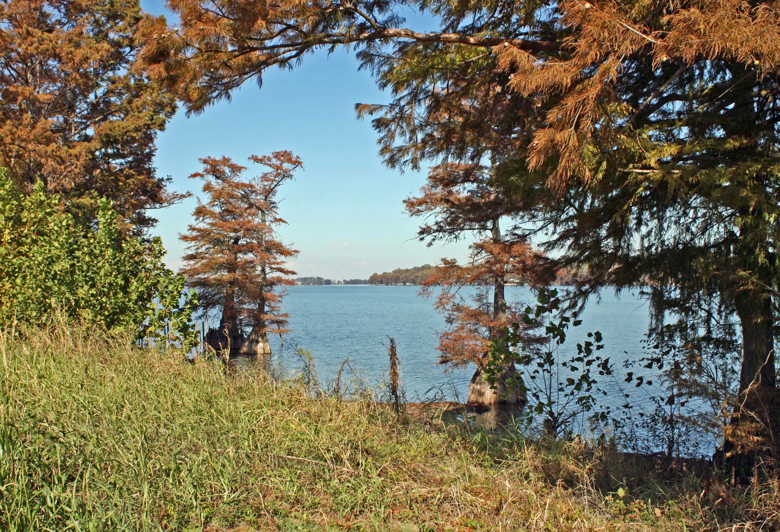 Southern Lagniappe A visit to Lake Providence, Louisiana
