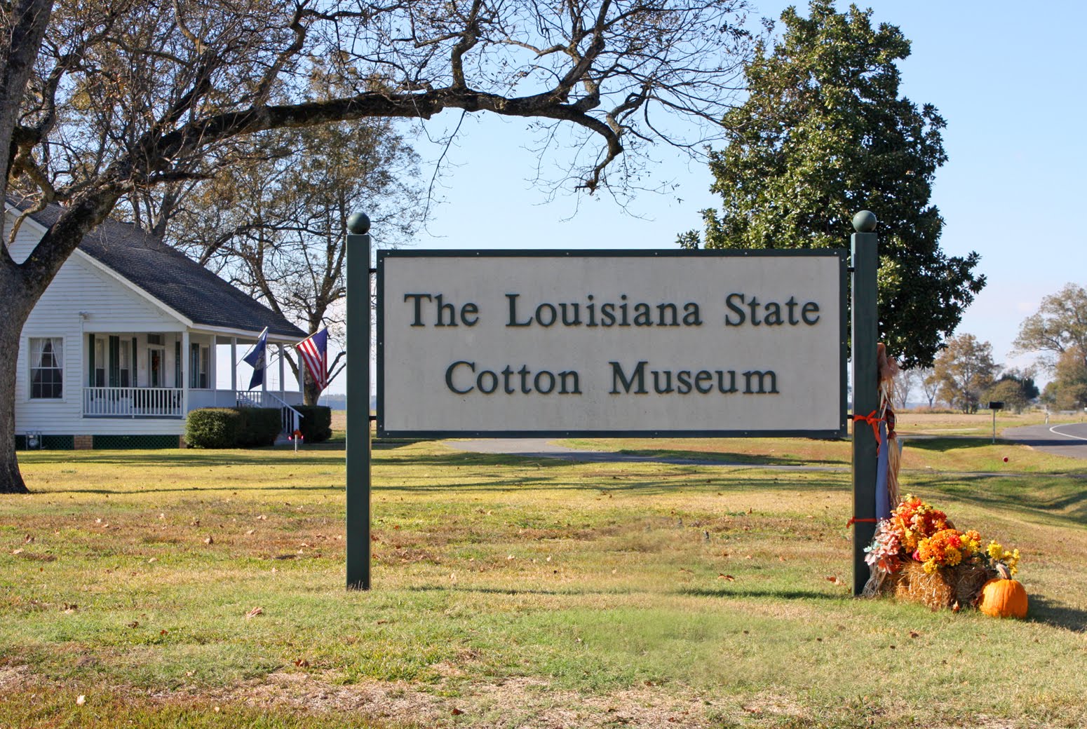 Southern Lagniappe In the Land of Cotton