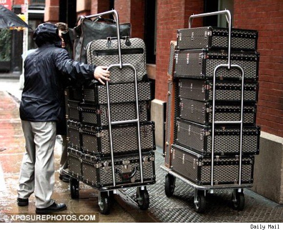 goyard suitcases