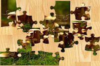 Unsolved Jigsaw Puzzle