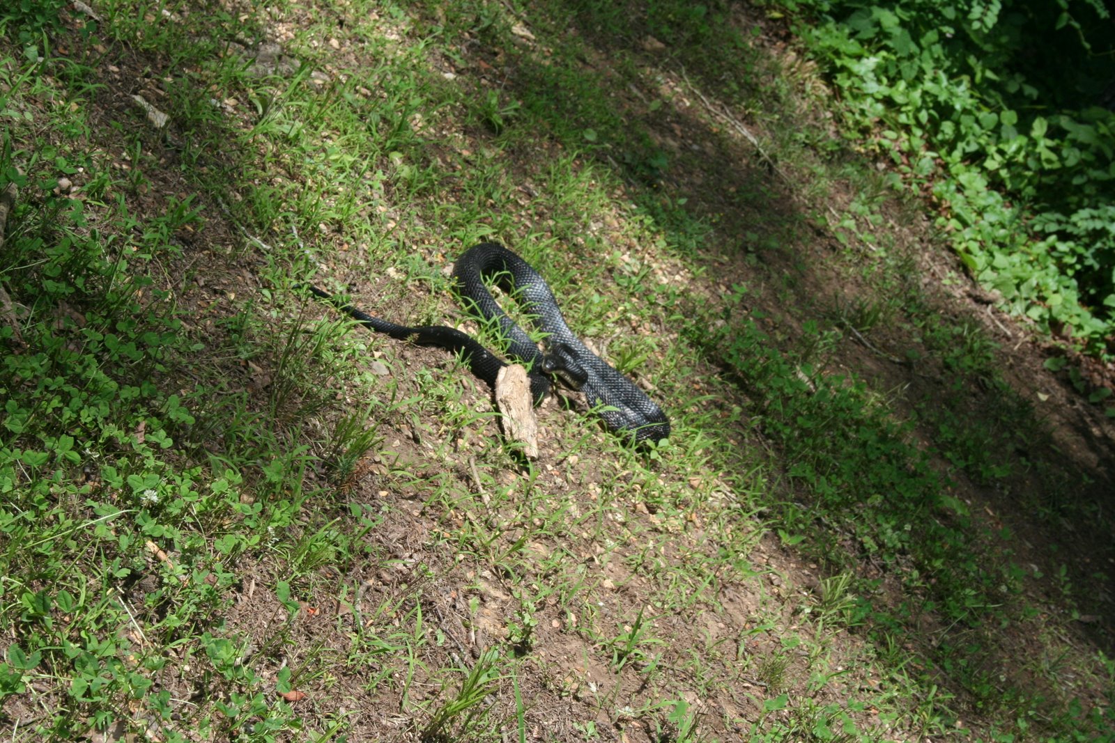 [IMG_8886.JPG]