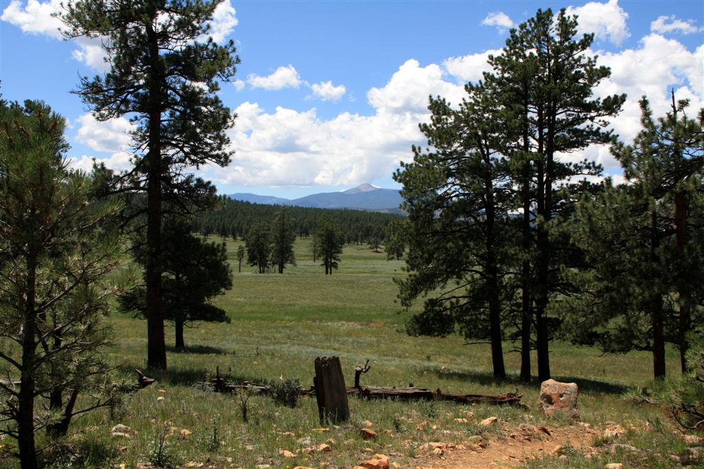 Rick & Y's Travels Valle Vidal Eagle Nest, New Mexico