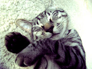 My Baby Boy