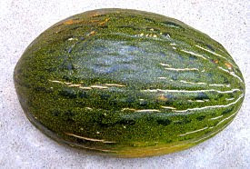 melon piel de sapo