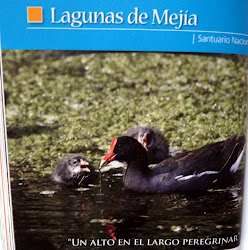 Santuario Nacional "Lagunas de Mejía"
