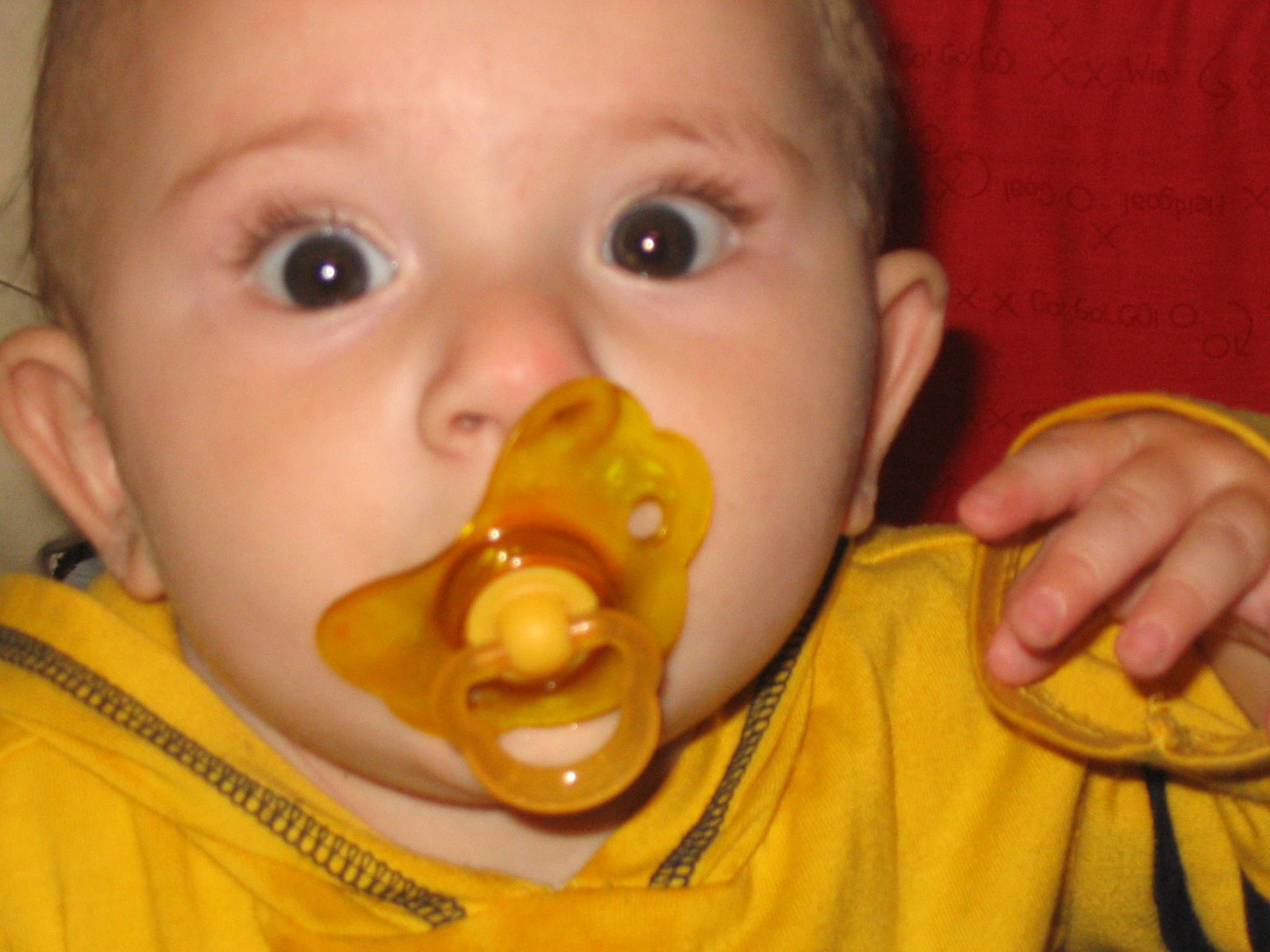 [JZ+and+Pacifier+-+Looking+up.JPG]