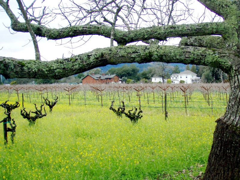 [napa2.jpg]