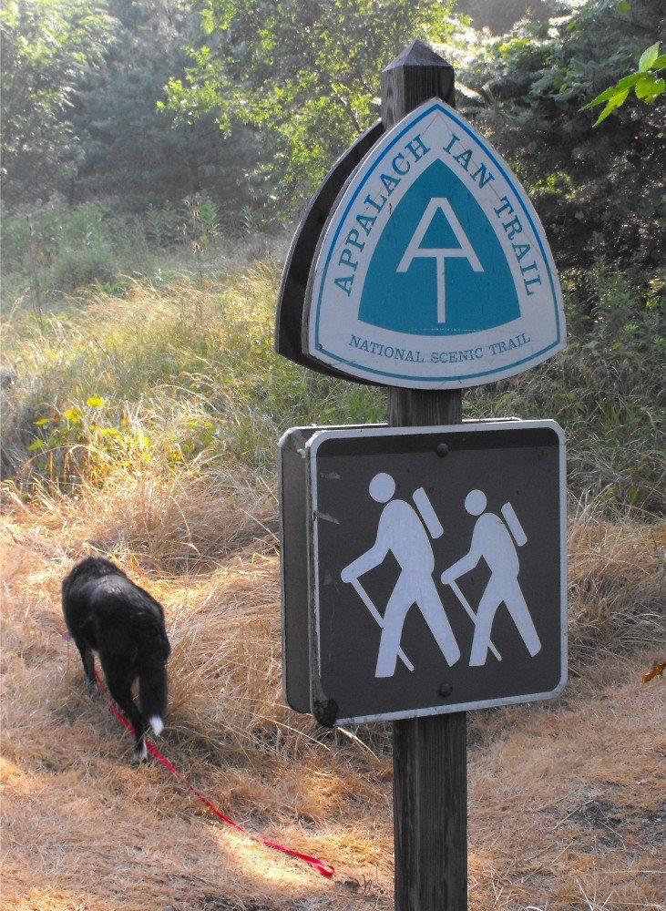 [ATtrailhead.JPG]