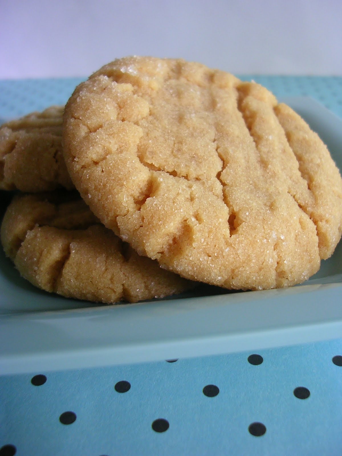 The Busty Baker: Mini Throwdown: Peanut Butter Cookies (Part 2)