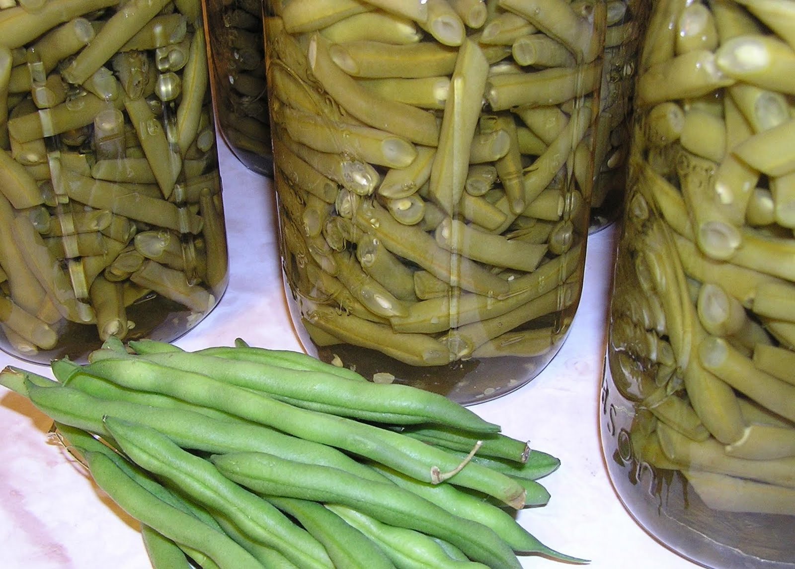 Still finding cash canning no pressure green beans