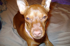 lulu - red min pin